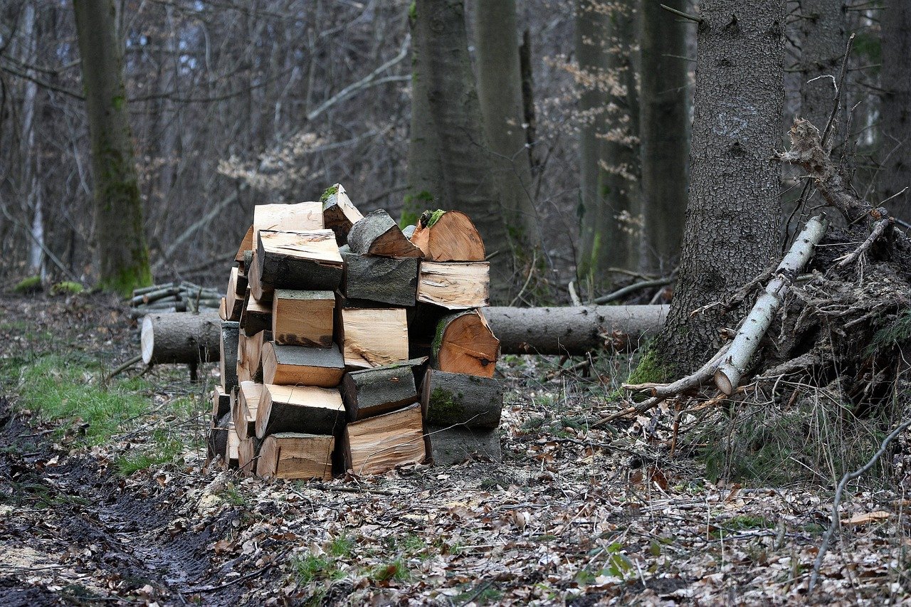 Kammergetrocknetes Hartholz, sauber gestapelt